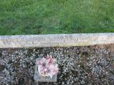 image of grave number 738455