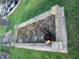 image number IMG_0962