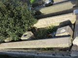 image number IMG_0979