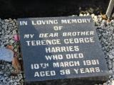 image of grave number 738480