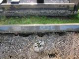 image of grave number 738482