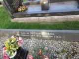 image of grave number 738493