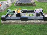 image of grave number 738510
