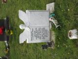 image number IMG_1556