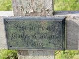 image number IMG_1617