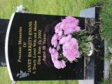 image number IMG_1640