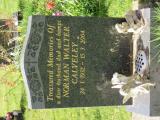 image number IMG_1649
