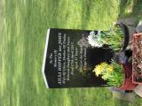 image of grave number 738806