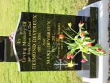 image of grave number 738812