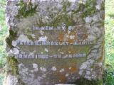 St Curig
